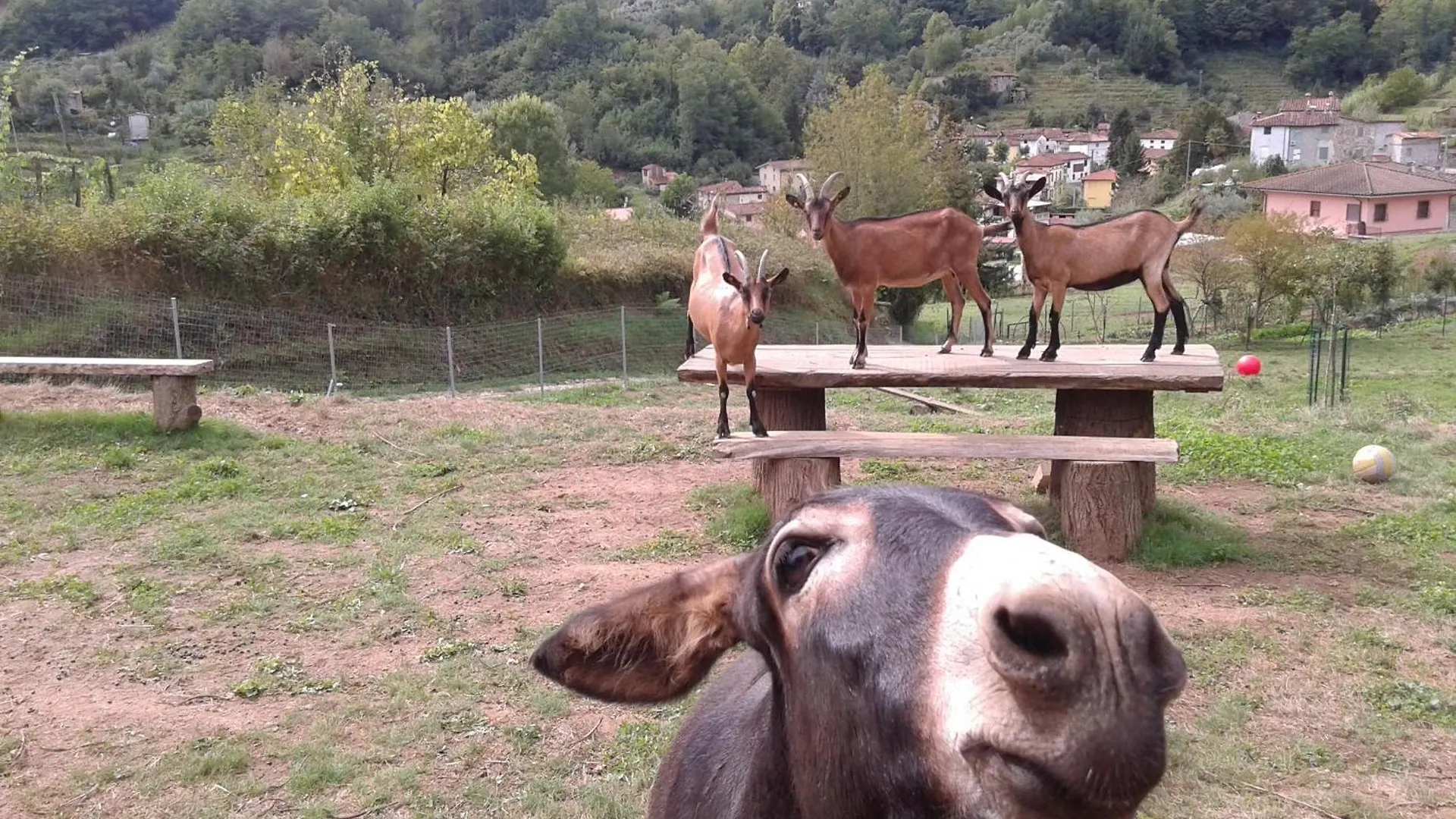 La Finestra Sulla Valle Valdottavo
