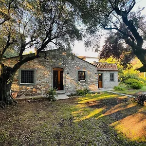  Casa vacanze La Casina Di Susy